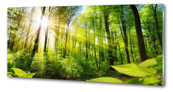 Panou sticla securizata bucatarie Pădurea în soare