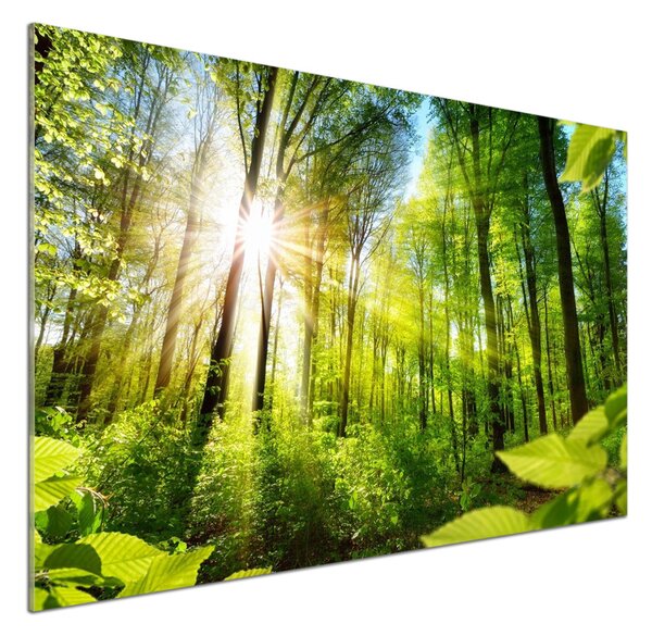 Panou sticla securizata bucatarie Pădurea în soare