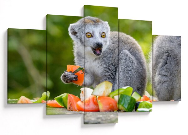 Tablou cu lemur (150x105 cm)