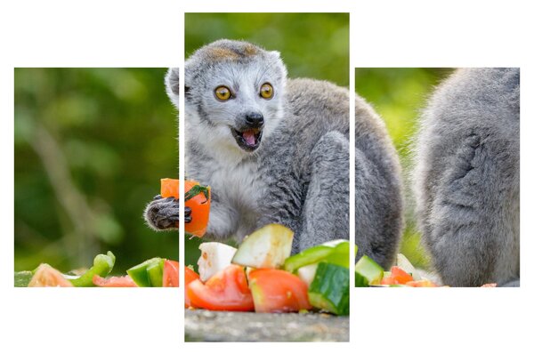 Tablou cu lemur (90x60 cm)