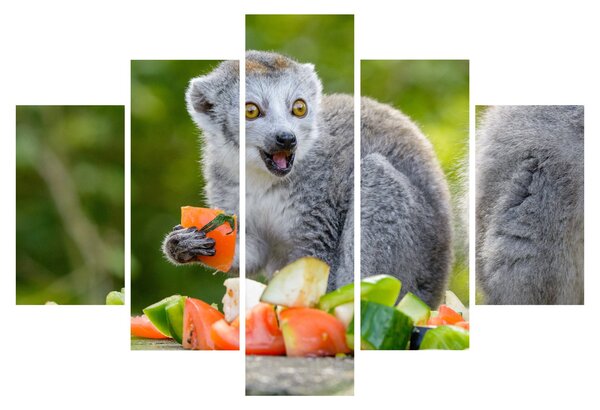 Tablou cu lemur (150x105 cm)