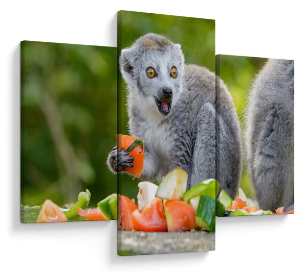 Tablou cu lemur (90x60 cm)