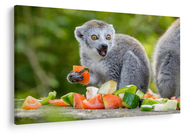 Tablou cu lemur (90x60 cm)