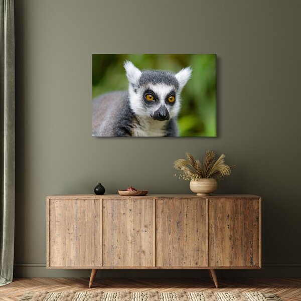 Tablou cu lemur (90x60 cm)