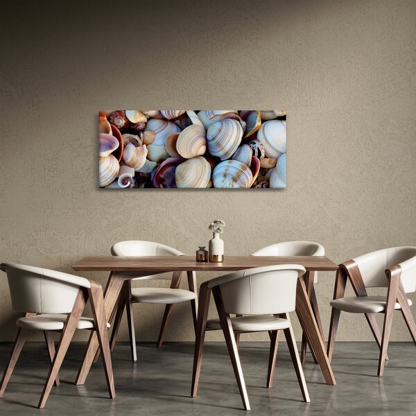 Tablou cu scoici (120x50 cm)
