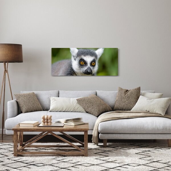 Tablou cu lemur (120x50 cm)