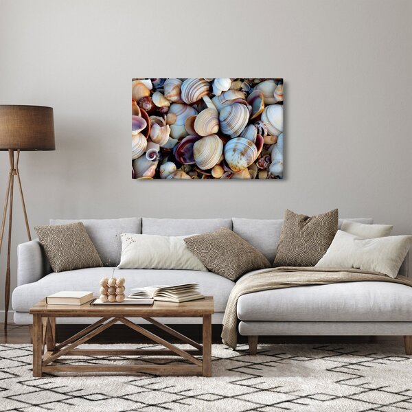 Tablou cu scoici (90x60 cm)