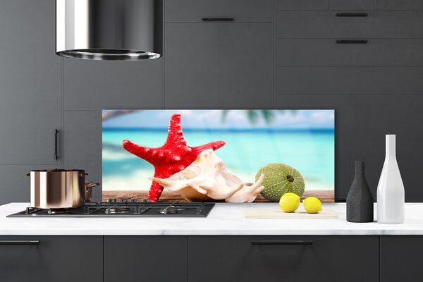 Panou sticla bucatarie Seashell Cochilii Art Roșu Verde Albastru
