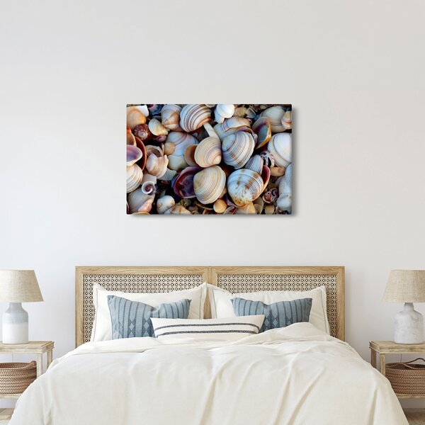 Tablou cu scoici (90x60 cm)