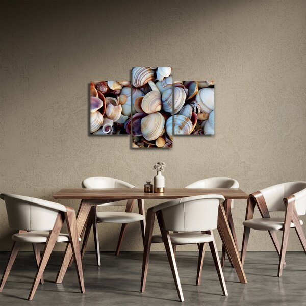 Tablou cu scoici (90x60 cm)