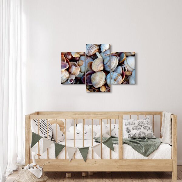 Tablou cu scoici (90x60 cm)