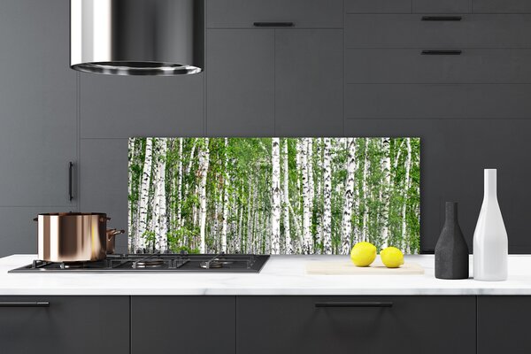 Panou sticla bucatarie Birch Forest Copaci Natura Verde Alb