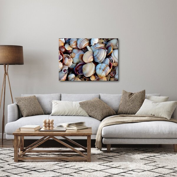 Tablou cu scoici (70x50 cm)