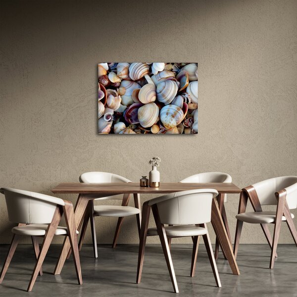 Tablou cu scoici (70x50 cm)