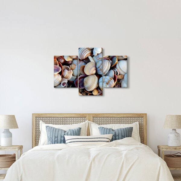 Tablou cu scoici (90x60 cm)
