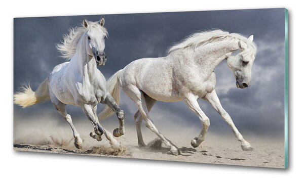 Panou sticla securizata bucatarie White Beach Horse