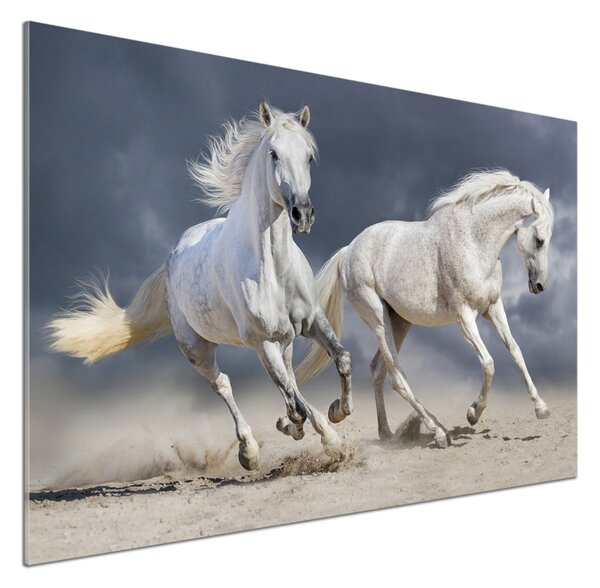 Panou sticla securizata bucatarie White Beach Horse