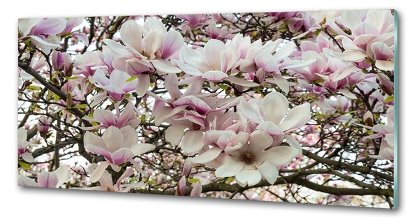 Sticlă bucătărie flori magnolia