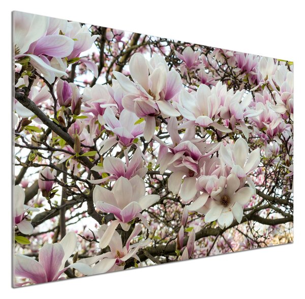 Sticlă bucătărie flori magnolia