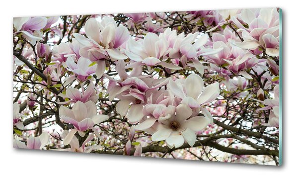 Sticlă bucătărie flori magnolia