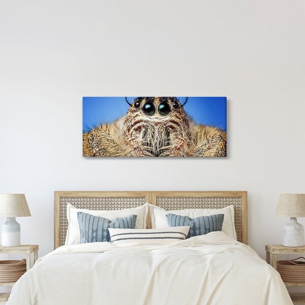 Tablou cu detalii a unui pâianjen (120x50 cm)