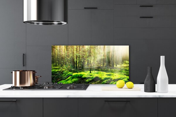 Panou sticla bucatarie Moss Natural Pădurea Verde