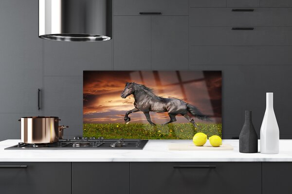 Panou sticla bucatarie Black Horse Meadow Animale Negru Verde Roșu
