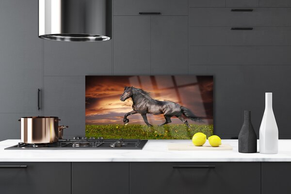 Panou sticla bucatarie Black Horse Meadow Animale Negru Verde Roșu