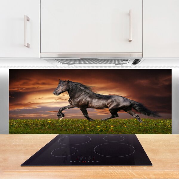 Panou sticla bucatarie Black Horse Meadow Animale Negru Verde Roșu