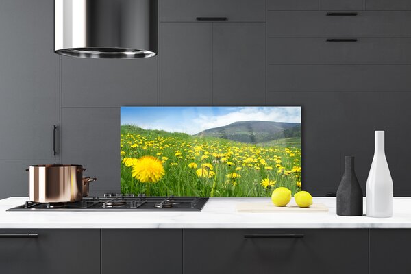 Panou sticla bucatarie Păpădie Câmp Natura Galben Verde Albastru
