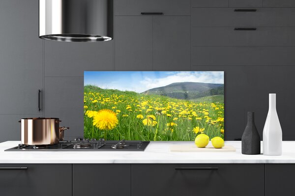 Panou sticla bucatarie Păpădie Câmp Natura Galben Verde Albastru