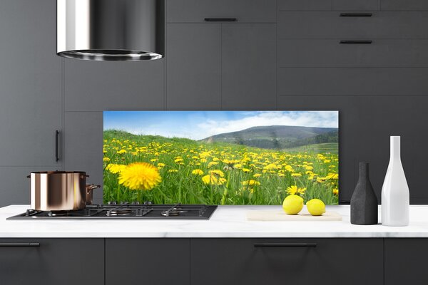 Panou sticla bucatarie Păpădie Câmp Natura Galben Verde Albastru