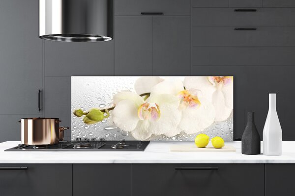 Panou sticla bucatarie Flori Floral Alb Gri