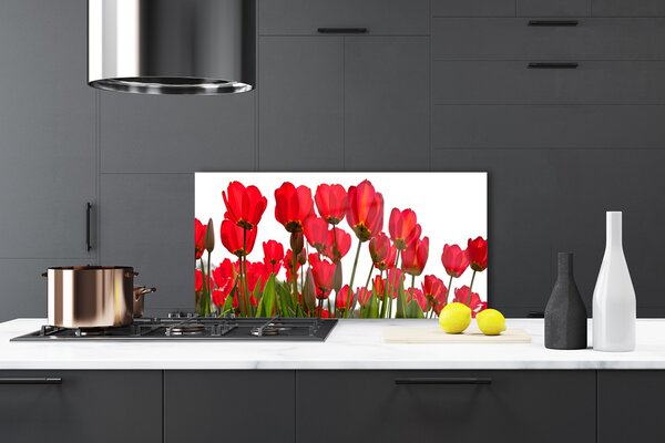 Panou sticla bucatarie Flori Floral Roșu Verde Alb