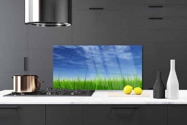 Panou sticla bucatarie Sky Grass Nature Albastru Verde