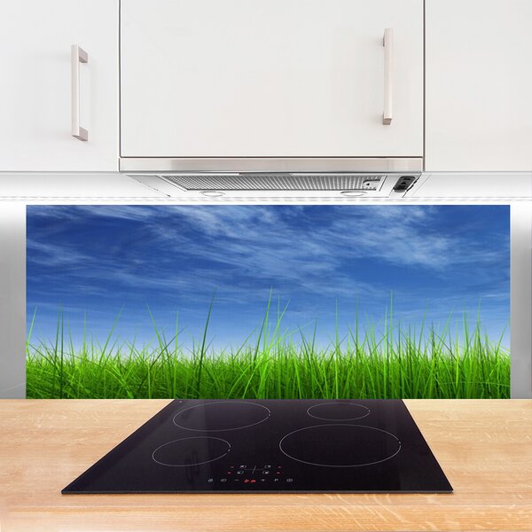 Panou sticla bucatarie Sky Grass Nature Albastru Verde