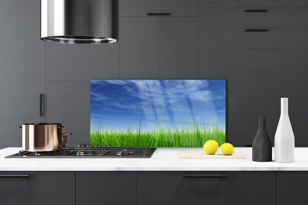 Panou sticla bucatarie Sky Grass Nature Albastru Verde