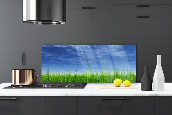 Panou sticla bucatarie Sky Grass Nature Albastru Verde