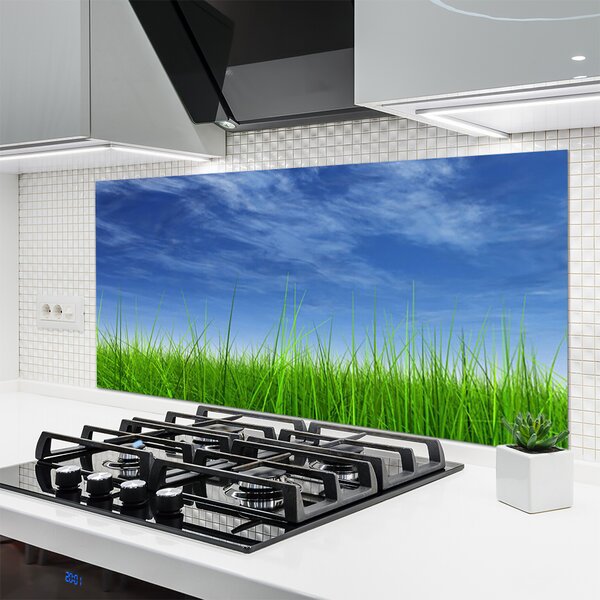 Panou sticla bucatarie Sky Grass Nature Albastru Verde