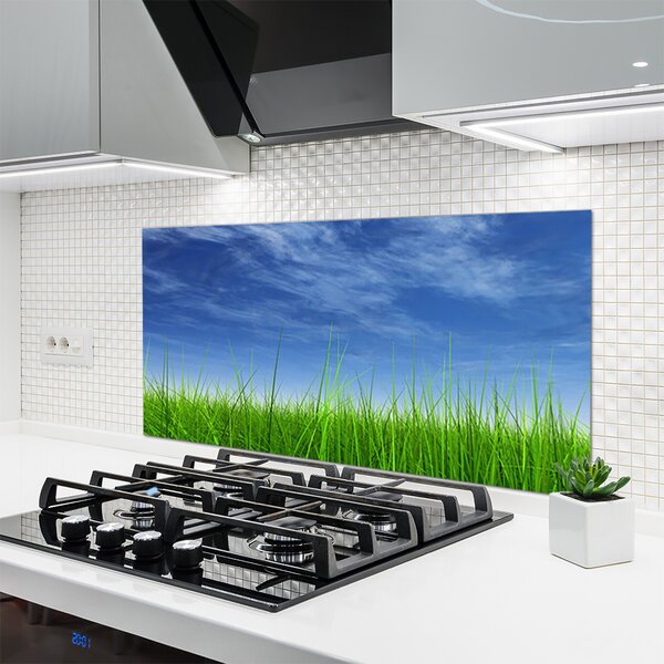 Panou sticla bucatarie Sky Grass Nature Albastru Verde