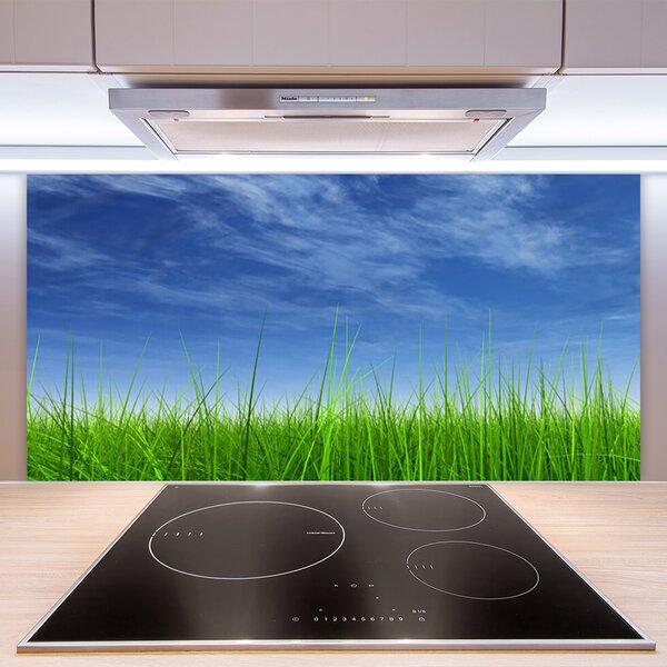 Panou sticla bucatarie Sky Grass Nature Albastru Verde