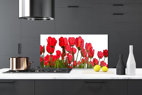 Panou sticla bucatarie Flori Floral Roșu Verde Alb