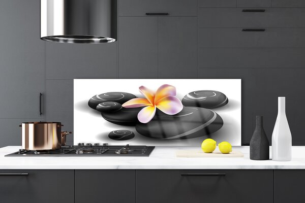 Panou sticla bucatarie Pietrele de flori Natura Negru Galben Violet Gri