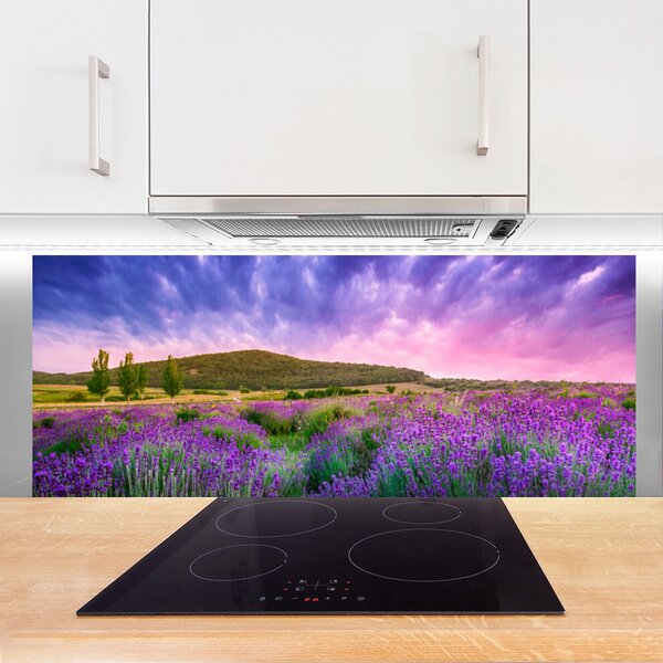 Panou sticla bucatarie Meadow Munții Flori Natura Verde Violet Albastru Roz