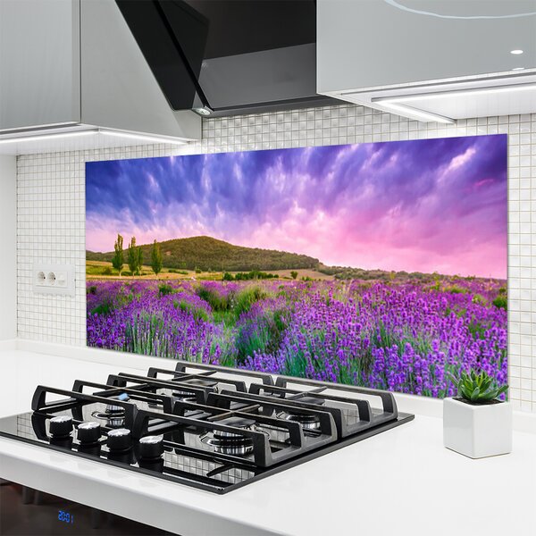 Panou sticla bucatarie Meadow Munții Flori Natura Verde Violet Albastru Roz