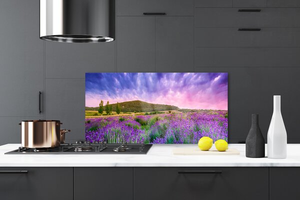 Panou sticla bucatarie Meadow Munții Flori Natura Verde Violet Albastru Roz