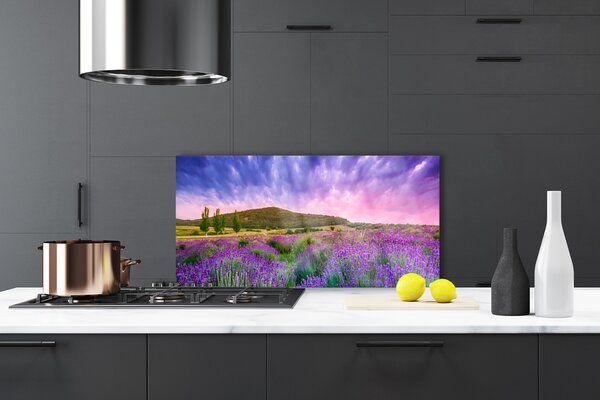 Panou sticla bucatarie Meadow Munții Flori Natura Verde Violet Albastru Roz