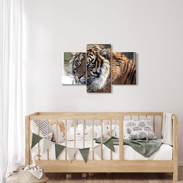 Tablou cu tigrul (90x60 cm)