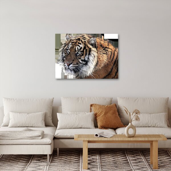 Tablou cu tigrul (70x50 cm)