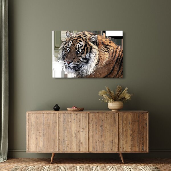Tablou cu tigrul (90x60 cm)